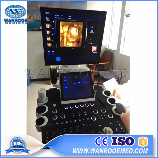 Usc900 Медицинская тележка 4D Ультразвуковая диагностическая система Цветной доплеровский ультразвуковой сканер
