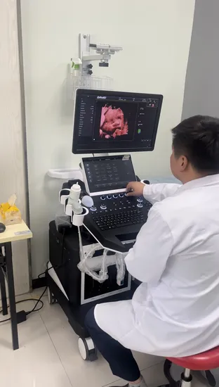 Медицинское ультразвуковое диагностическое оборудование Dwt50 High